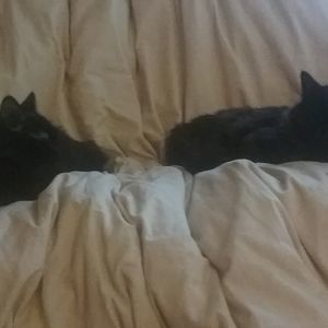 Meet your Posher, Mindi